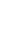 CASTORENE R50S 1L-100% SYNTETIC SPEEDWAY