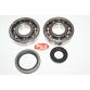 Leje kit for krumtap SUZUKI RM250 94-95
