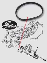 Gates Rem for oliepumpe