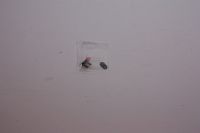 Nitteled knastkæde DID 05T