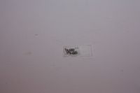 Nitteled knastkæde 75RH2025