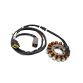 Stator KAWASAK VN900 06-23