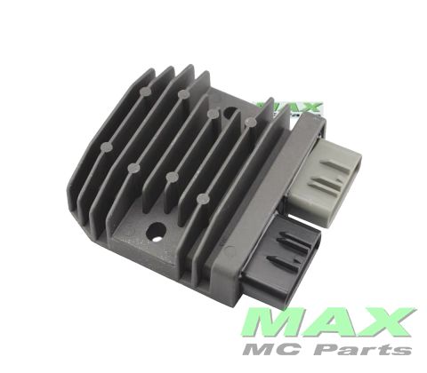 Ensretter BMW R1200GS S1000R