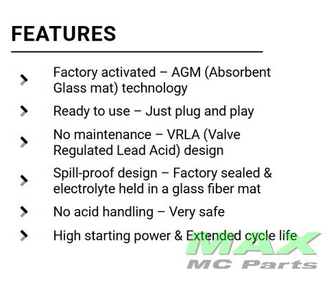 BS BATTERI *SLA* BTZ12S-BS/YTZ12S-BS