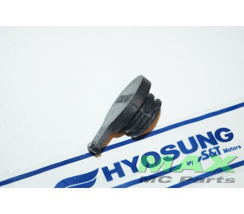 CAP,EXPANSION TANK GT650 GT250