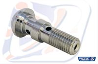 Banjo bolt 5/16 BSF CHROM DOBBELT