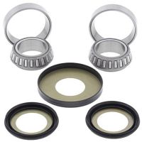 Steering Bearing Kit RMZ250 RMZ450 RMX45