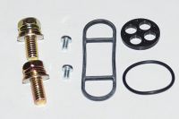 REP. SÆT BENZINHANE KLX650 KSF250