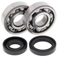 Crank Bearing and Seal Kit KX125 88-05