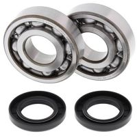 Crank Bearing and Seal Kit KX500 83-04