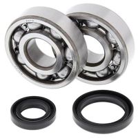 Crank Bearing and Seal Kit RM125 89-08