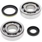 Crank Bearing and Seal Kit RM250 94-95