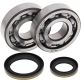 Crank Bearing and Seal Kit RM250 96-02