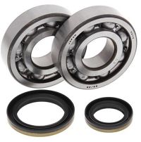 Crank Bearing and Seal Kit RM250 96-02