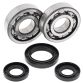 Crank Bearing and Seal Kit YZ250 98-00