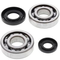 Crank Bearing and Seal Kit YZ250 01-18
