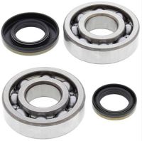 Crank Bearing and Seal Kit RM250 03-04