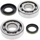 Crank Bearing and Seal Kit RM250 03-04