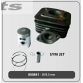 Cylinderkit std. 39,00 AC, 45km