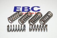 EBC Clutch spring kit (6 pcs) CSK028