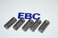 EBC Clutch spring kit (5 pcs) CSK138