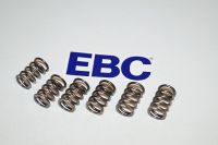 EBC Clutch spring kit (6 pcs) CSK171