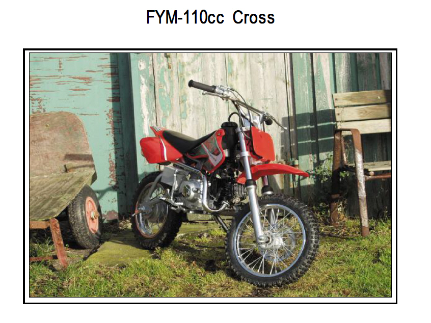 FYM 110CCM Mini Crosser