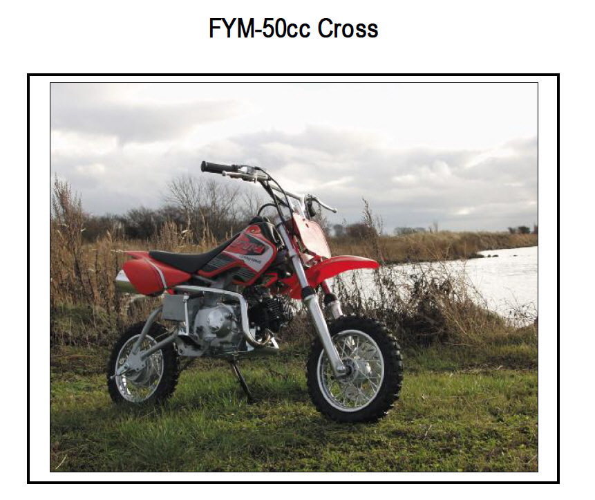 FYM 50CCM Mini Crosser